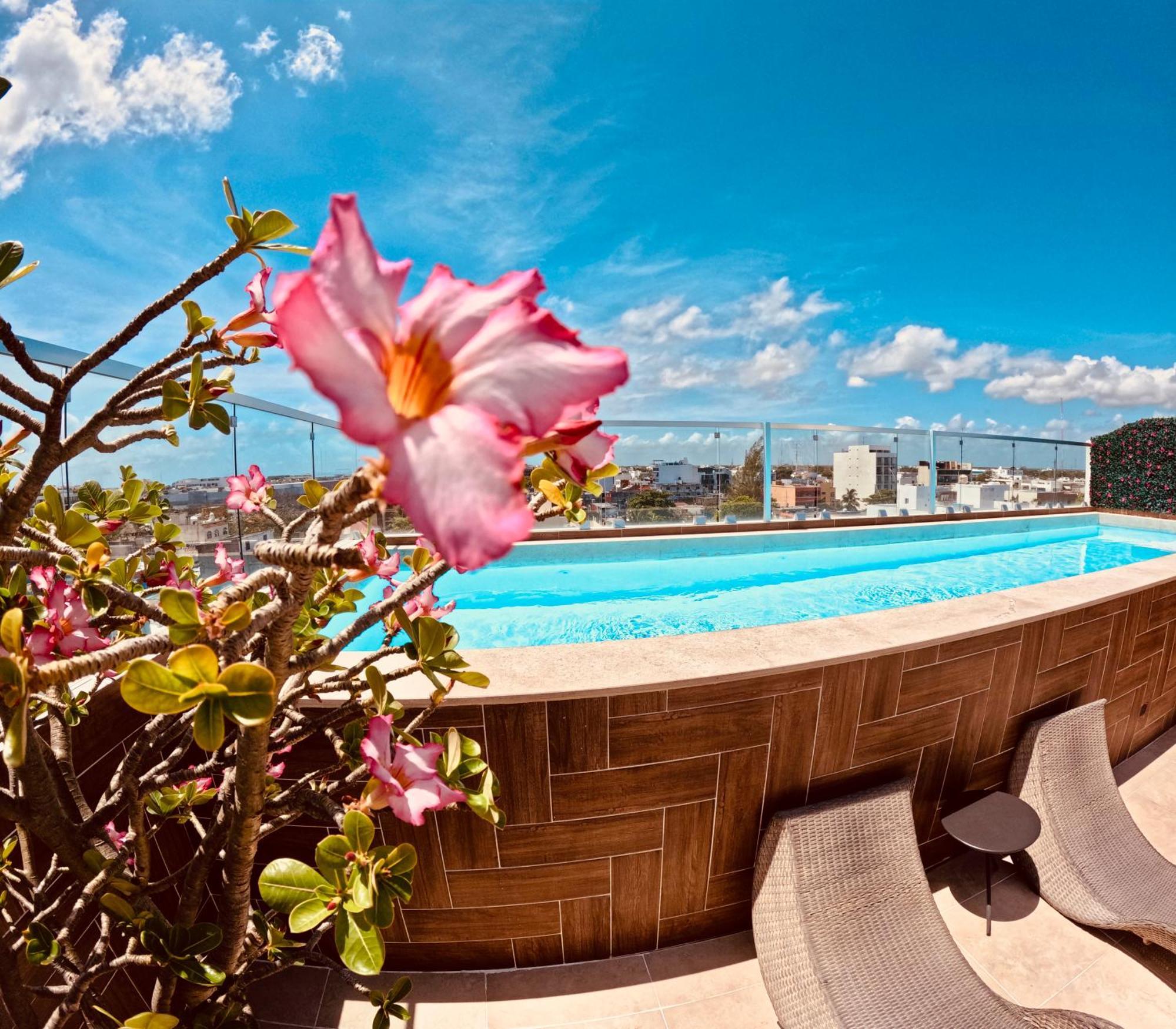 Studios With Roofpool In Vanessa 24 Playa del Carmen Zewnętrze zdjęcie